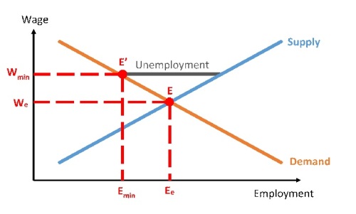 The effects of a minimum wage shown in a supply and demand diagram