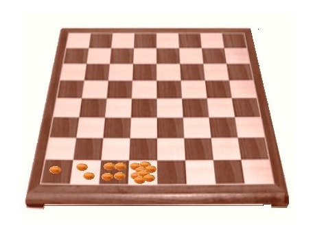 Grains of wheat placed on the squares of a chessboard